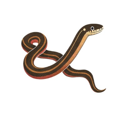 金絲蛇